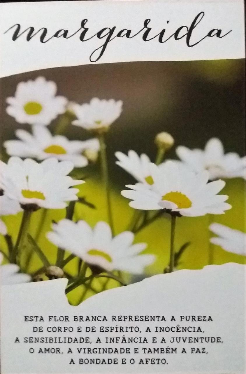 Recanto Das Flores Hotel Praia de Pipa Zewnętrze zdjęcie