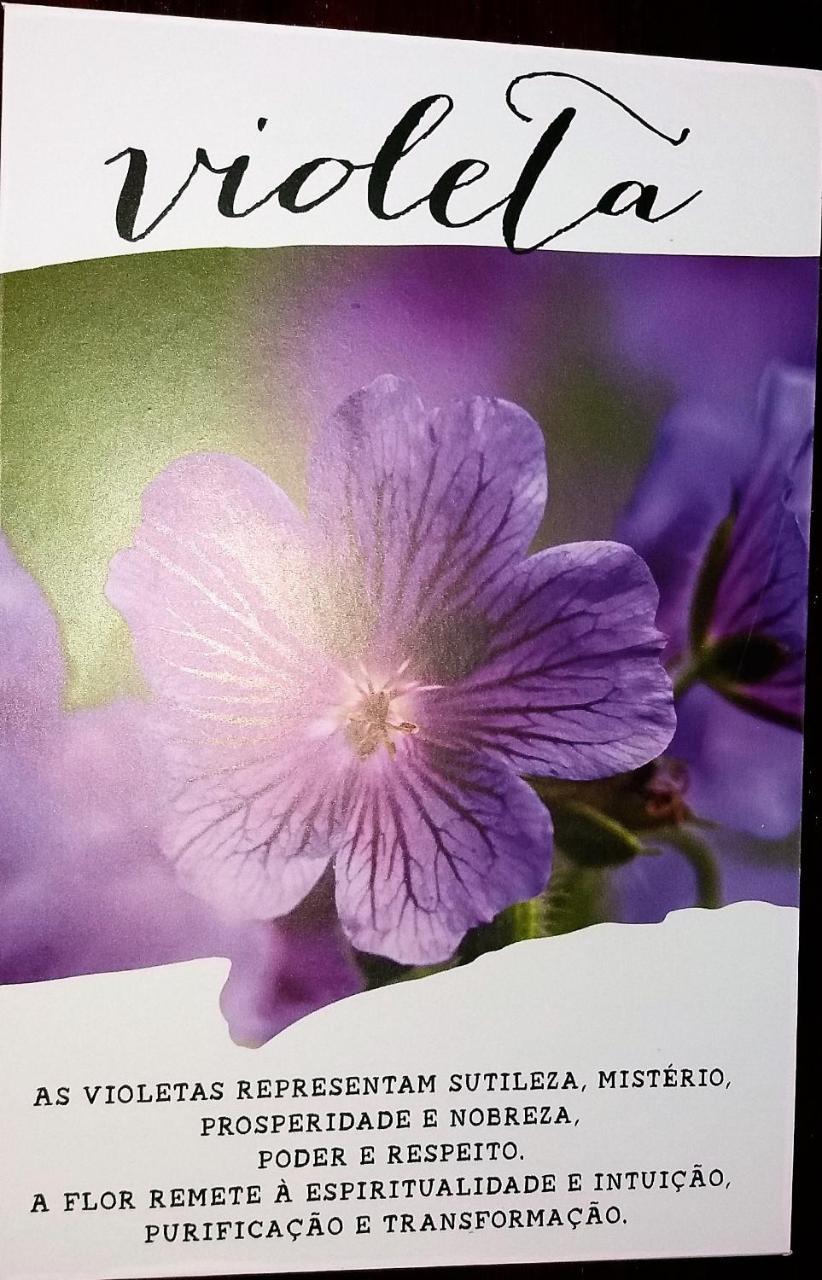 Recanto Das Flores Hotel Praia de Pipa Zewnętrze zdjęcie